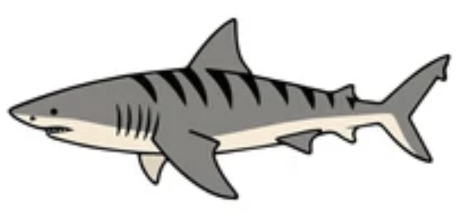 Instant Win Prize Image